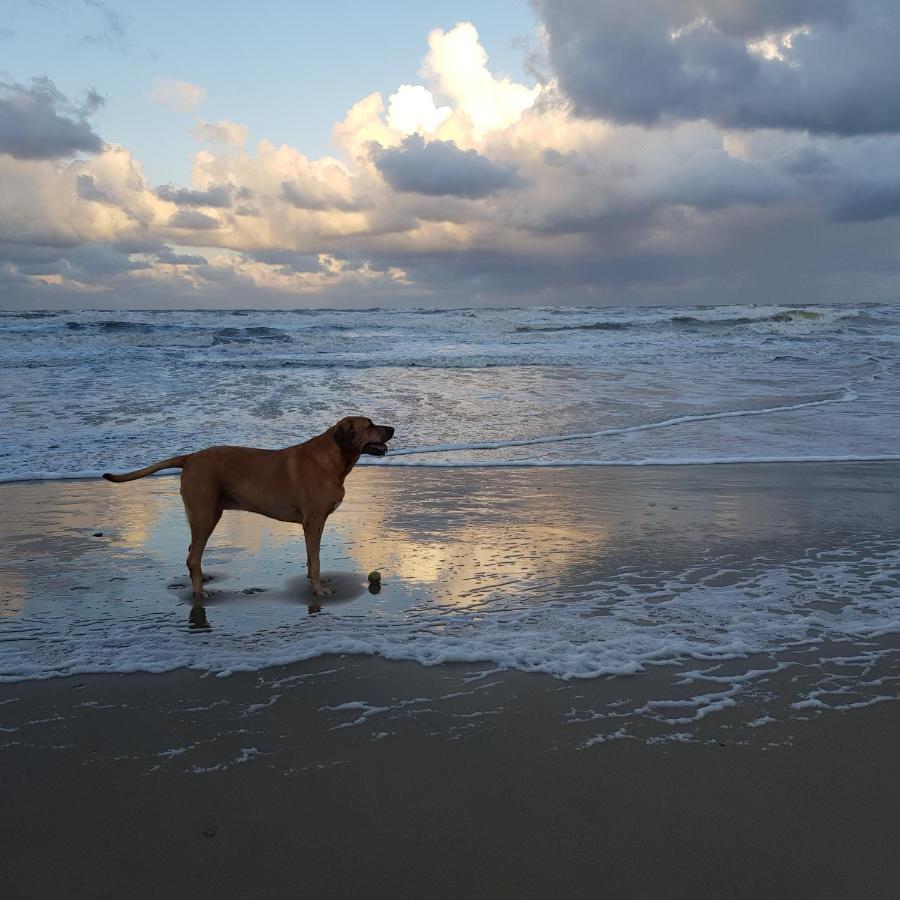 Willa In De Bocht Heiloo Zewnętrze zdjęcie