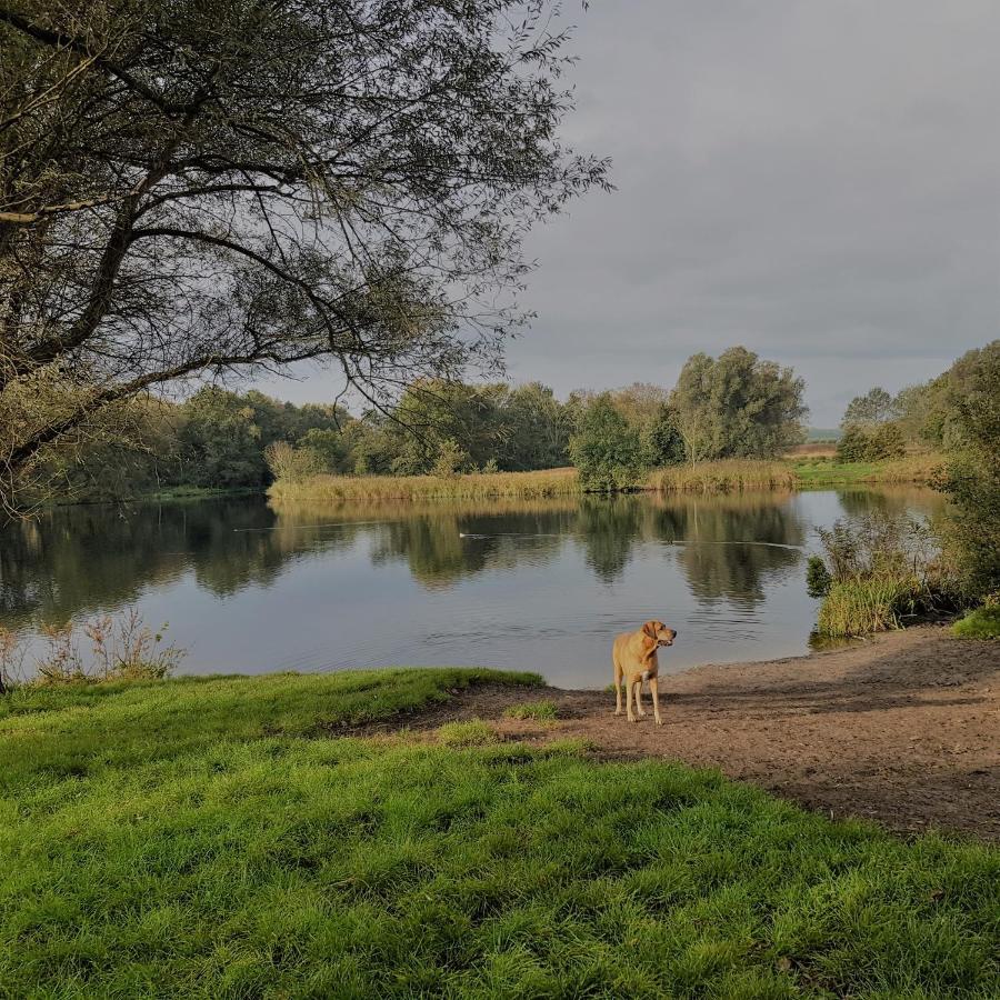 Willa In De Bocht Heiloo Zewnętrze zdjęcie